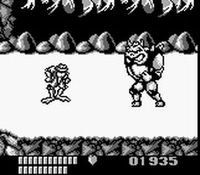 une photo d'Ã©cran de Battletoads sur Nintendo Game Boy